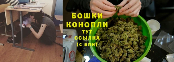 прущие крисы Белоозёрский