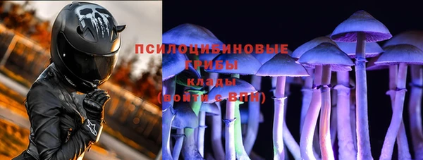 гидропоника Балахна
