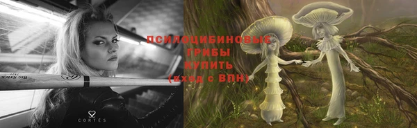 гидропоника Балахна