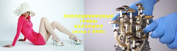 гидропоника Балахна