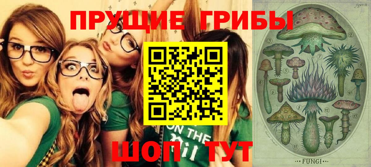 Галлюциногенные грибы GOLDEN TEACHER Гудермес