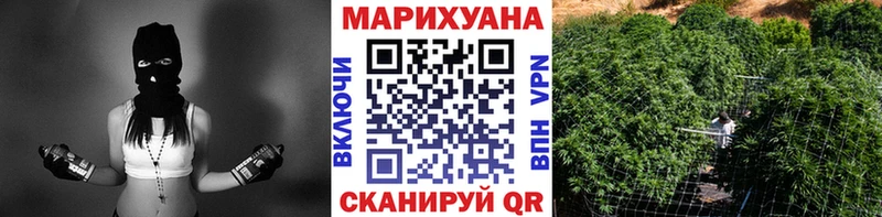 Бошки марихуана White Widow  Гудермес 