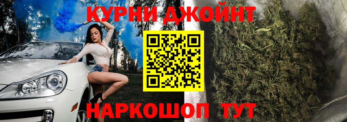 Конопля сатива  Каннабис MAZAR  Гудермес  Бошки марихуана тримм 